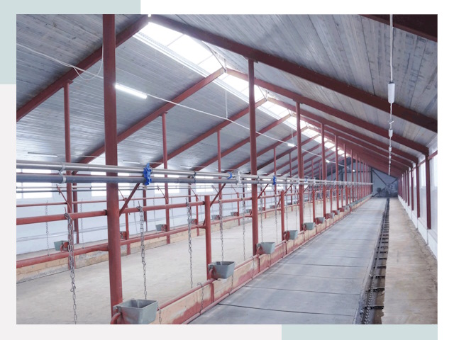 Строительство коровников в Нефтеюганске от 610 руб.